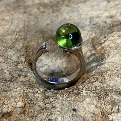 Goldschmiede Hornung Groen in Bremerhaven - Octopus R 360 Seashell